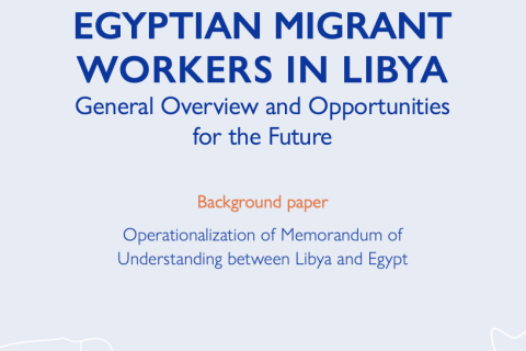 	Libya — Egyptian Migrant Workers in Libya: General Overview and Opportunities for the Future